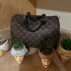 Louis Vuitton Brown and Tan Monogram Bag